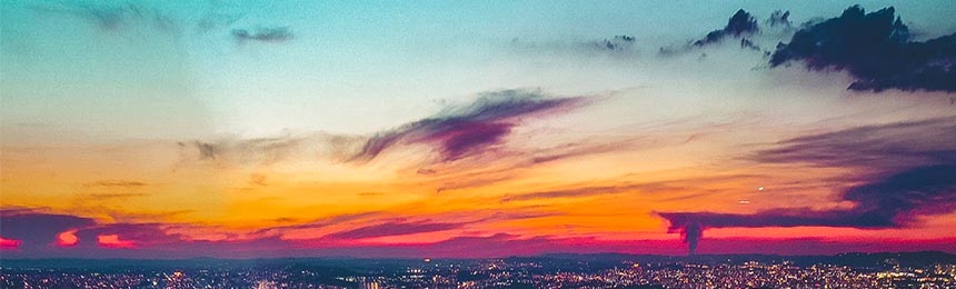 安康茶虫网_安康品茶